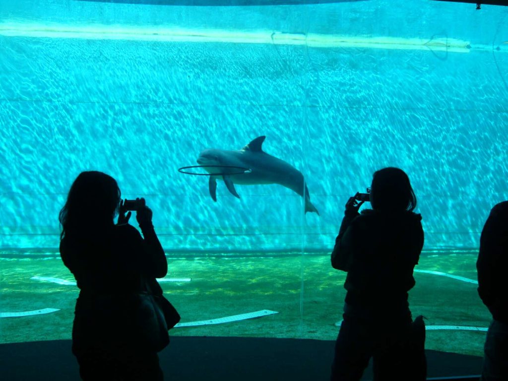 Acquario di Genova